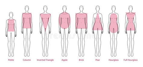 Set Of Women Body Shape Types Apple Pear Column Brick Hourglass Inverted Triangle Female