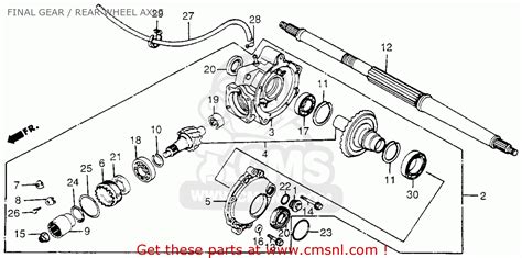 Honda Fourtrax 300 Fuel Line Diagram