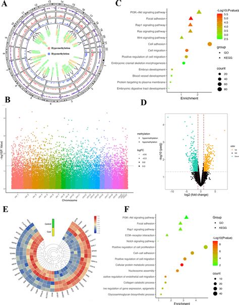 Differential Dna Methylation Distribution In Decidual Tissues A