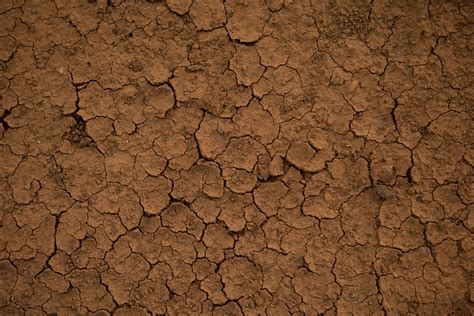 Foto gratis: Tierra, Textura, Barro, Árido, Seco - Imagen gratis en ...