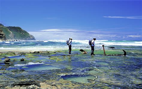 Great Ocean Walk Tours | Guided Tours | Self Guided Tours | Melb VIC