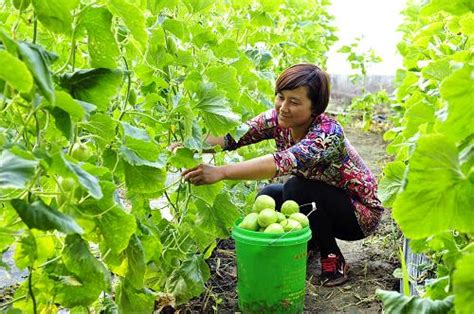 惊蛰到 农事忙图片新闻中国政府网