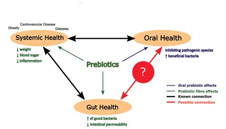 Ward fig1 - Oral Health Group