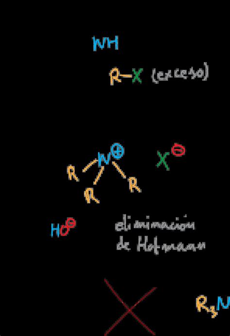 Reactions of Aliphatic Amines | Chemistry Online