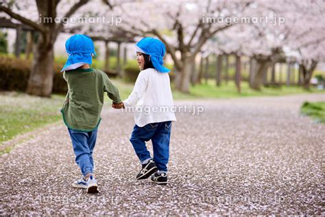 手をつないで走る子供の後ろ姿の写真素材 [237438366] イメージマート