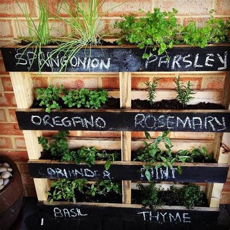 Best Herb Garden Ideas And Designs For