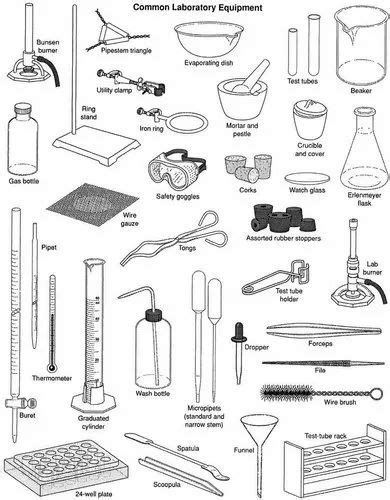 Laboratory Instruments at best price in Mumbai by Gautam Labequipment ...