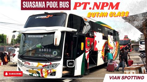 SUASANA POOL BUS NPM MEDAN SUTAN CLASS JADI PRIMADONA YouTube