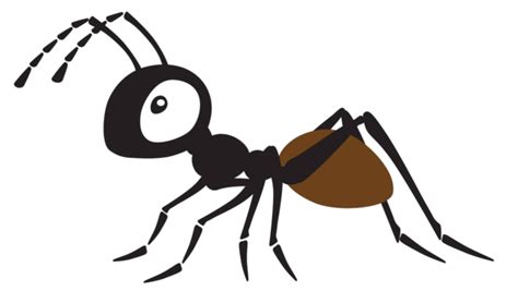 Cartoon Ants Png Transparent Images Free Download Vector Files Pngtree