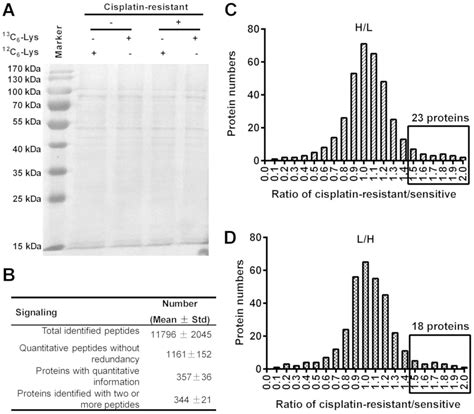 Profiling Of Apoptosis And Autophagy Associated Molecules In Human