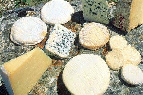 Qui sait où je peux trouver de bons fromages Dans mes rêves je