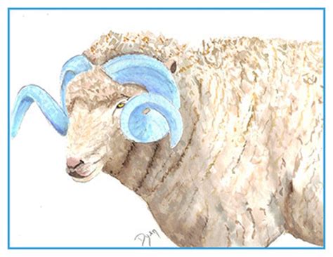 UNC Mascot Rameses Note Cards - Etsy