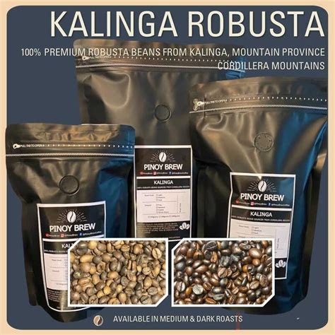 Kalinga Robusta Coffee Beans And Grounds Premium Highland