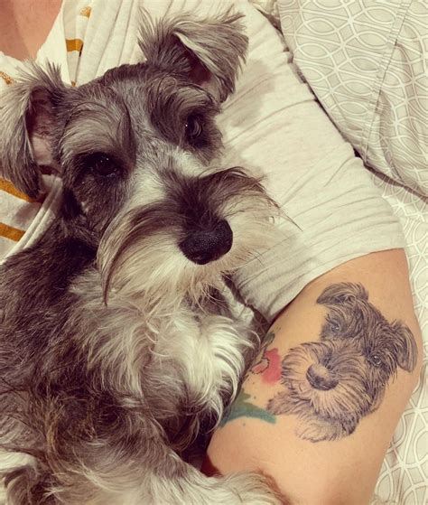 19 Awesome Schnauzer Tattoo Ideas Page 2 Of 5 The Dogman Tattoos