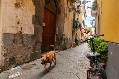 Large crowds at anaconda noarlunga spark weekend traffic delays 9