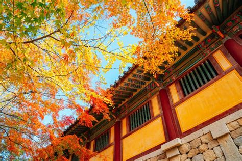 Bulguksa Temple with Autumn Leaves in Gyeongju, Korea Stock Photo ...