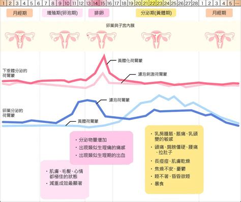 避孕「安全期」、「危险期」怎麽计算？性行为避孕方法 Tldrlss