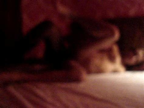 Festinha Na Quarentena Free Porn Video 9c XHamster