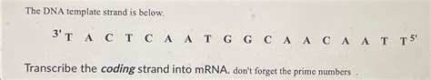 Solved The Dna Template Strand Is Below Transcribe The Chegg