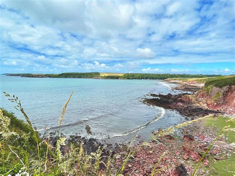 Discover: Milford Haven Waterway - National Parks