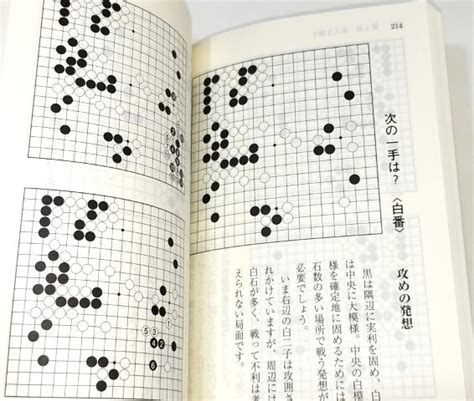 Yahooオークション 日本棋院 囲碁文庫「打碁鑑賞シリーズ」全十巻揃