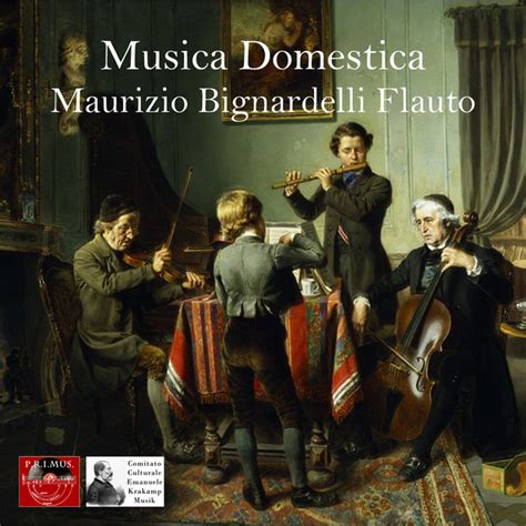 Musica Domestica Album By Maurizio Bignardelli Spotify