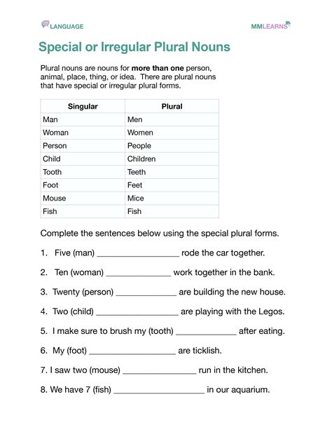 Examples Of Irregular Plural Nouns