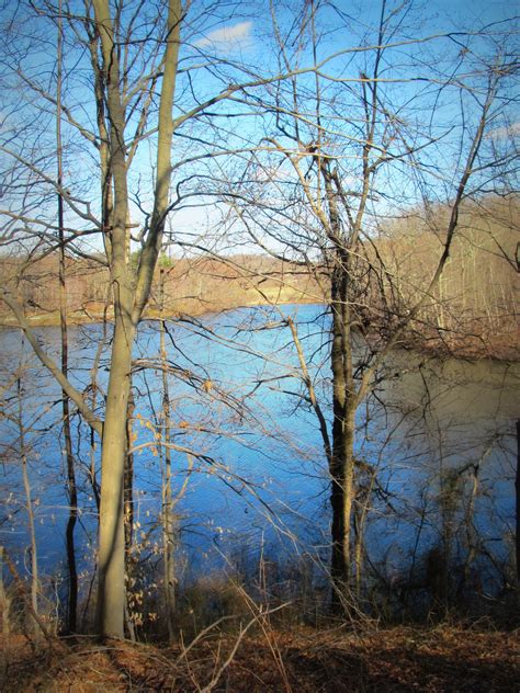 Lakeside Loop Trail Perrineville Lake Park Millstone Nj