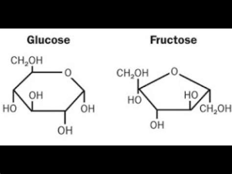 biochimie les propriétés des oses et les oligosides en arabe YouTube