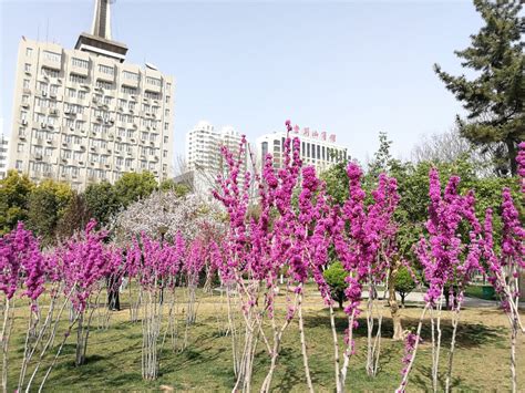 2019紫荆山公园 旅游攻略 门票 地址 游记点评 郑州旅游景点推荐 去哪儿攻略社区