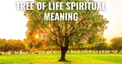 Tree of Life Spiritual Meaning: 7 Insights for Growth