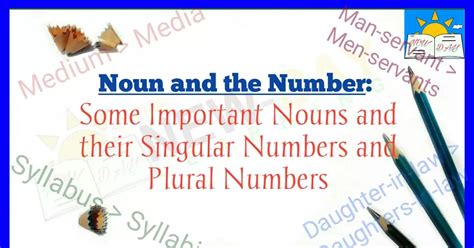 Noun And The Number List Of Important Nouns And Their Singular