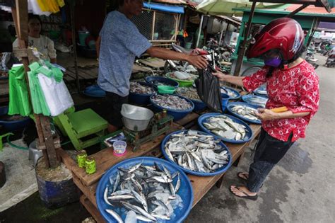 Dinas Perikanan Palangka Raya Lepas 65 000 Benih Ikan Di Danau Teluk