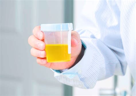 does fake pee work 8