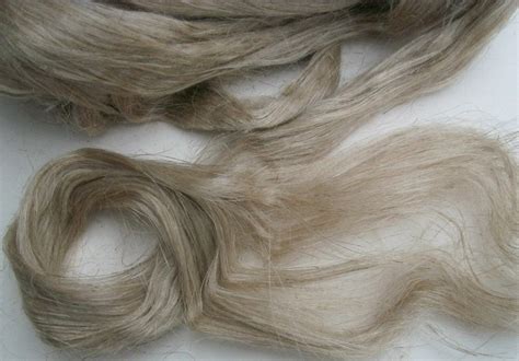 100 Wild Organic Linenflax Fiber Natural Color Flax Fiber Etsy