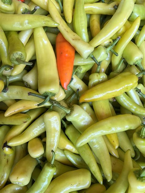 Hungarian Hot Pepper Pahl S Market Apple Valley MN