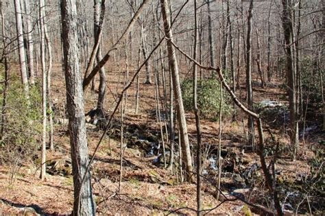 Meanderthals Thompson Creek And Pilot Rock Loop Pisgah National Forest