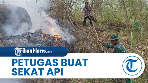 Kebakaran Hutan Lindung Egon Ilin Medo Sikka Terus Meluas Petugas Buat