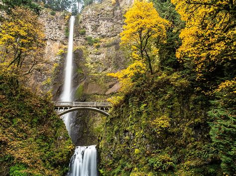 HD wallpaper: autumn, columbia, falls, gorge, multnomah, oregon, river, waterfall | Wallpaper Flare