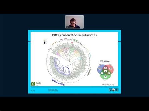 SEB Society For Experimental Biology Talk Evolution Of PRC2