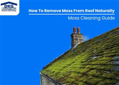 How To Remove Moss From Roof Naturally Dkg Roofing