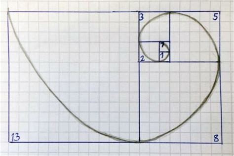 How To Draw A Fibonacci Spiral Scientist Factory