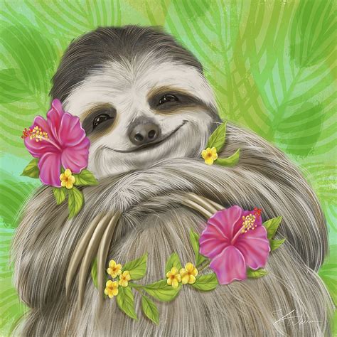 Smiling Sloth – Image Conscious