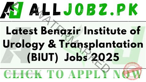 Benazir Institute Of Urology Transplantation Biut Education Jobs 2025