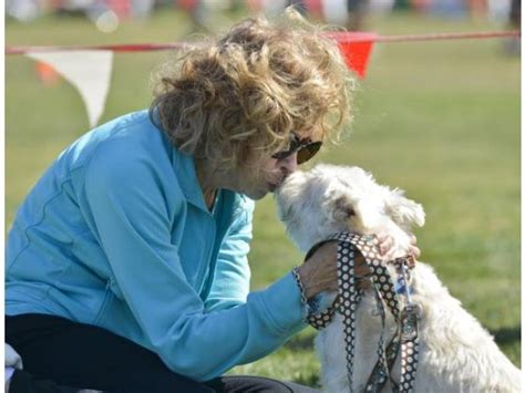 Mission Viejo Animal Shelter To Celebrate 20 Years Animal Shelter