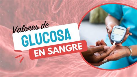 CUÁLES SON TUS VALORES DE GLUCOSA EN SANGRE YouTube