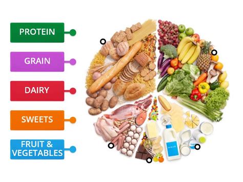 food groups labelled diagram
