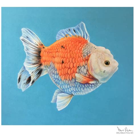 how to goldfish sleeping too much for beginners 3