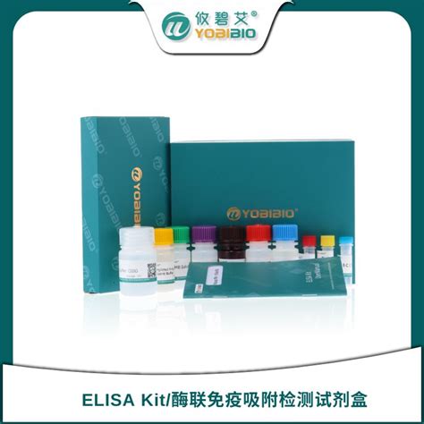 Human Cfdnasytox Green Elisa Kit（人游离dna）价格品牌攸碧艾yobibio 丁香通官网