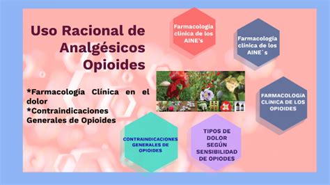 Uso Racional De Opioides By Emily Córdova On Prezi Next